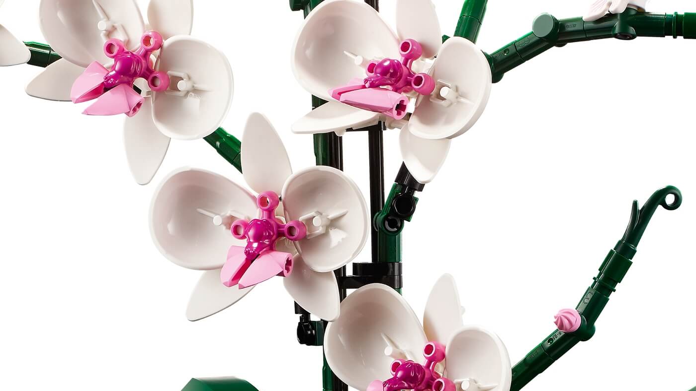 Orquideas ( Lego 10311 ) imagen c