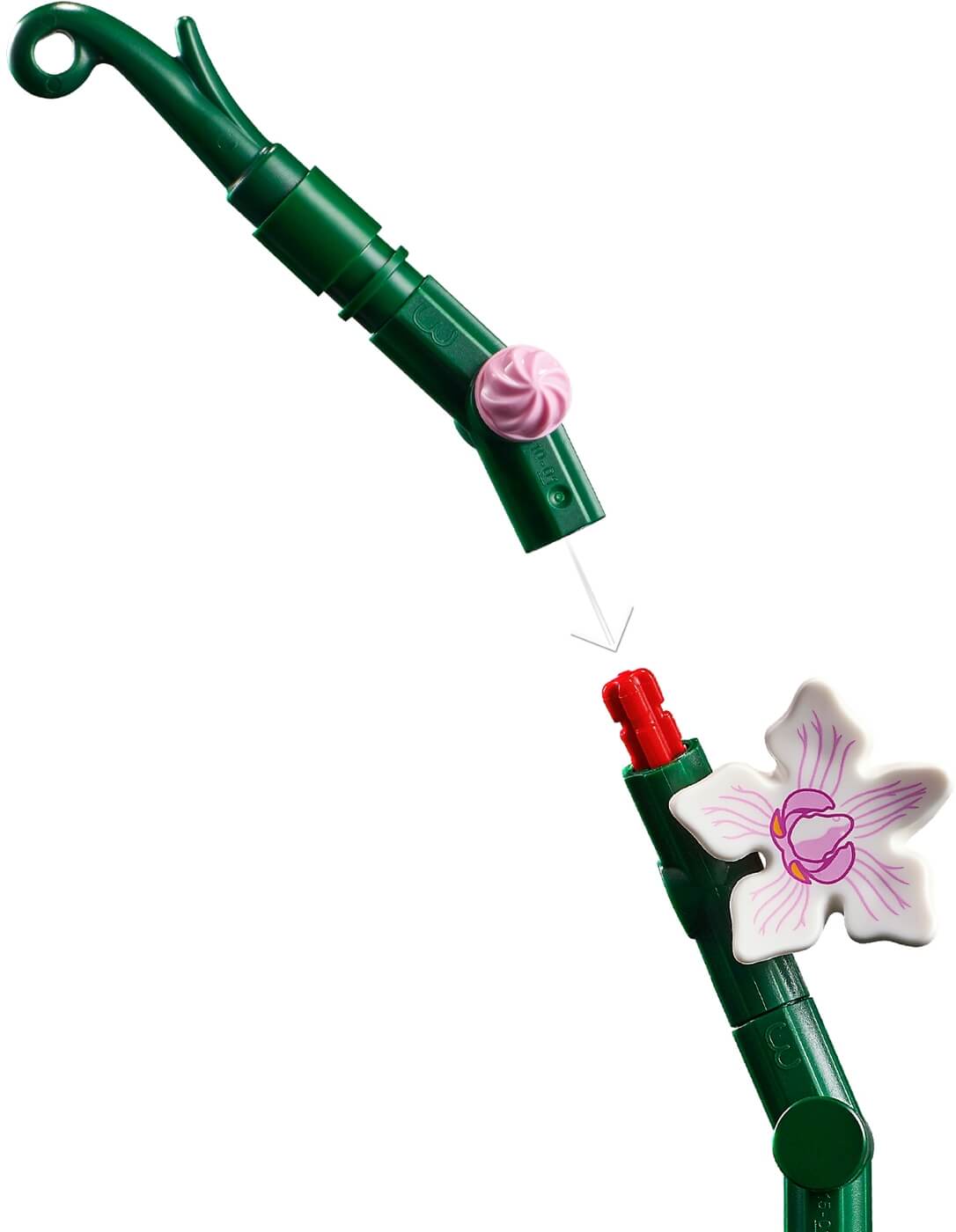 Orquideas ( Lego 10311 ) imagen d