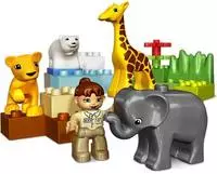 Zoo baby