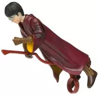 Harry Jugador de Quidditch