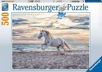 500 Caballo en la playa